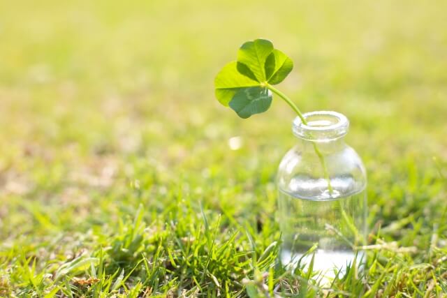 高齢者虐待防止法