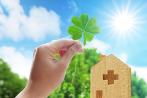 クローバーと建物