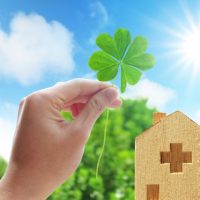 クローバーと建物